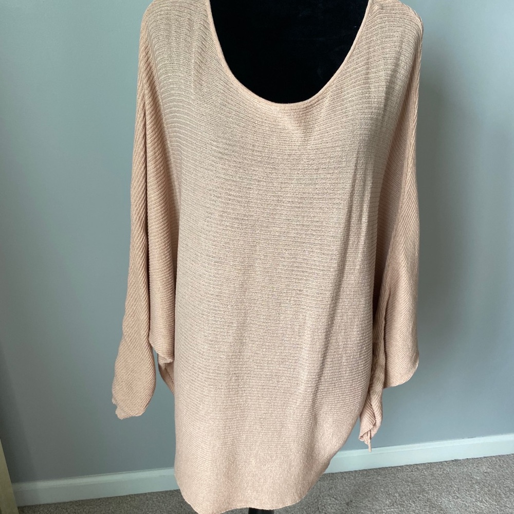 Zara Knit boatneck sweater